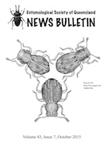 bulletin cover